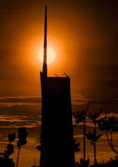 LAND 126 - Rising Majesty