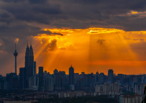 LAND 102 - Amazing Sun Ray